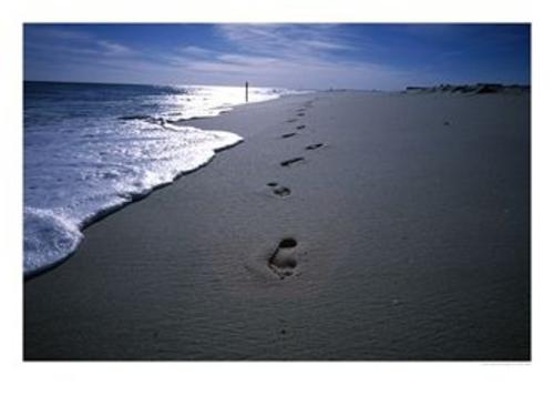 caminante