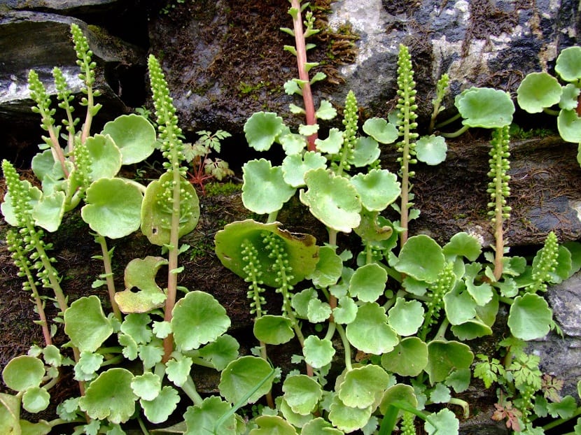 image16